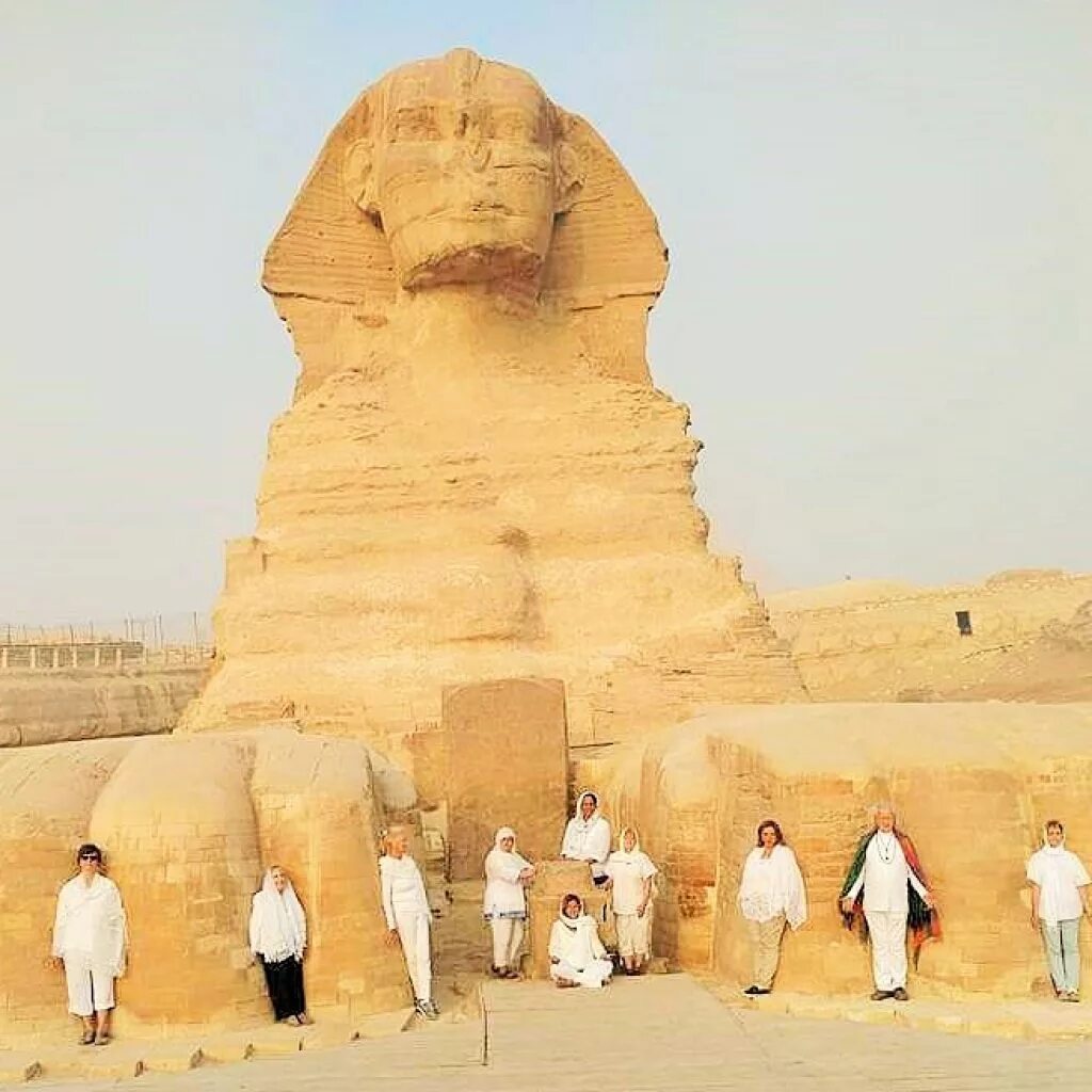 сфинкс статуя в египте. сфинксы охраняют гробницы. египетский сфинкс с высоты. сфинкс гизы реконструкция. сфинкс египет.