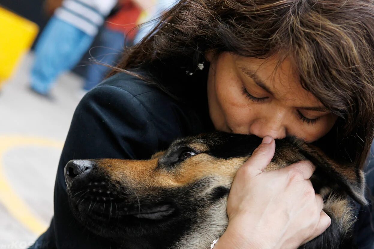 Dog have woman. Собаки любовь. Любовь собаки к человеку. Преданность собаки. Женщина с собакой.