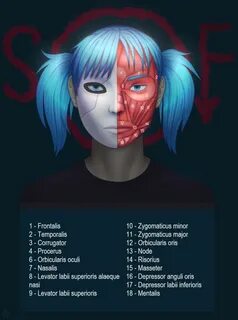 Имя салли