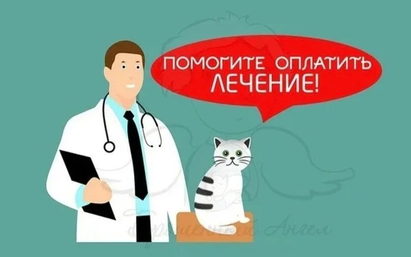 Помогите в оплате лечения. Помогите оплатить долги в клинике. Друг оплатил за лечение фото. Помогите закрыть долг в клинике. Оплата лечения.