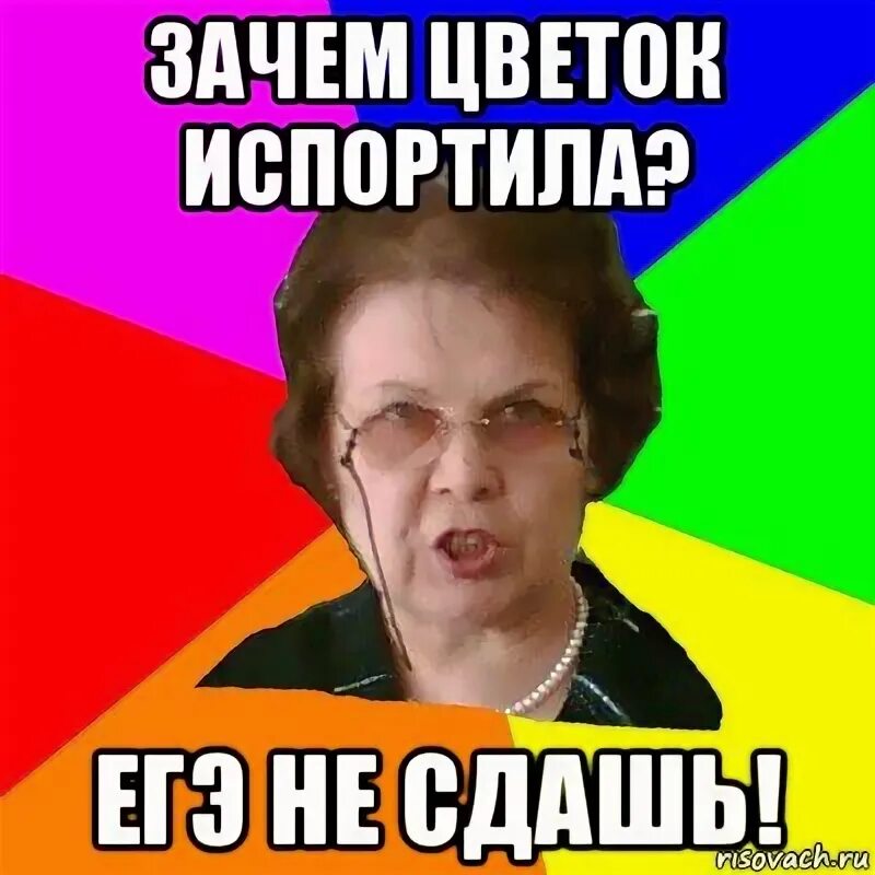 Лучей от него еще не было егэ
