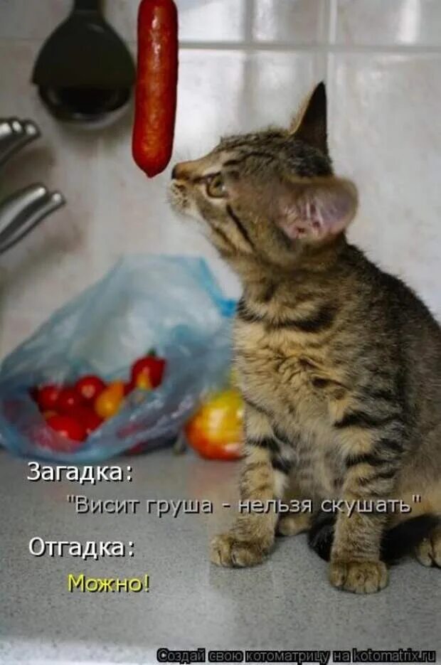 Я ничем не пахну. Я ничем не пахну. Robert downey jr meme. Обожаю встречи после долгой разлуки обнимешь человека вдохнешь его. Стихи о встрече после разлуки.