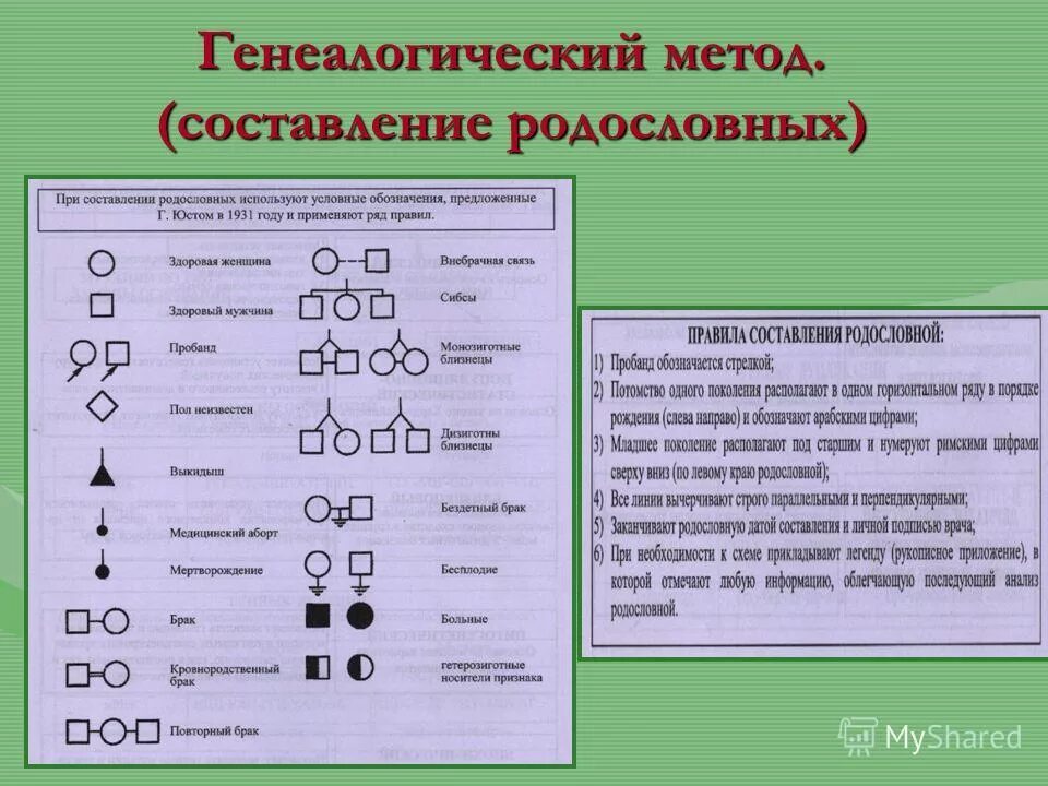 Принцип составления родословных