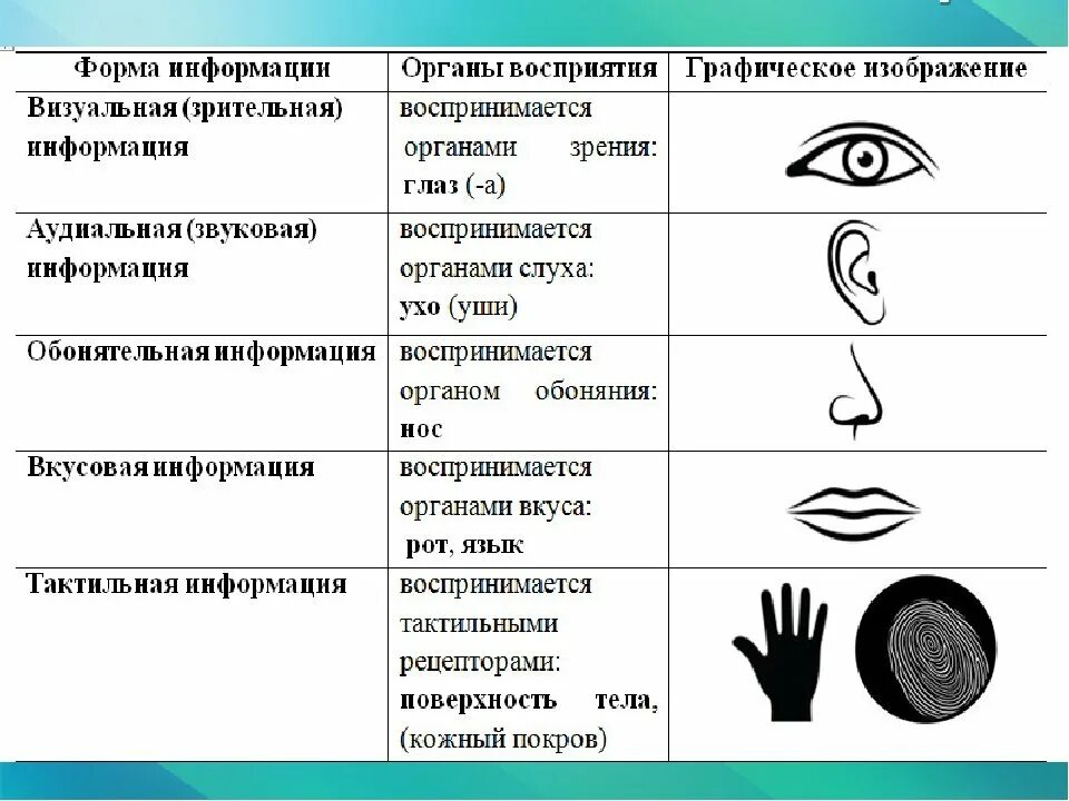 Визуальный вид информации. Виузальны йтип восприятия информации. Знаковые символы. Способы восприятия информации.