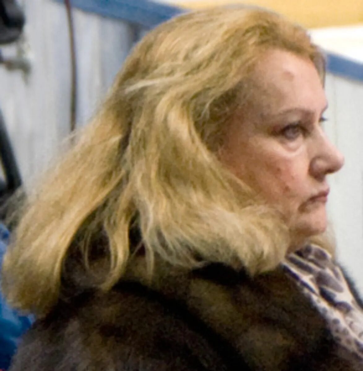 Чайковская елена анатольевна биография личная жизнь Книга: "Конек Чайковской. Обратная сторона медалей" Елена Чайковская. Купить к