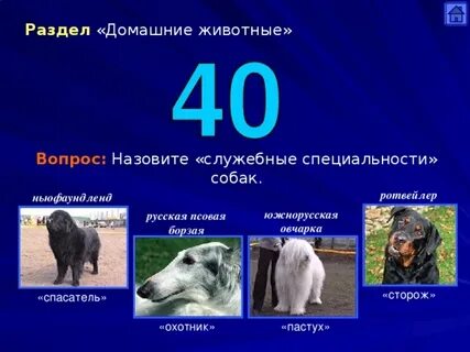 Служебные домашние животные