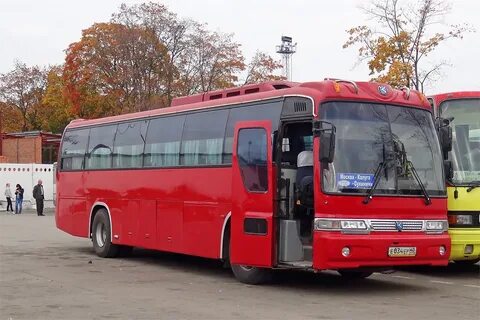 Автобус калуга сухиничи завтра