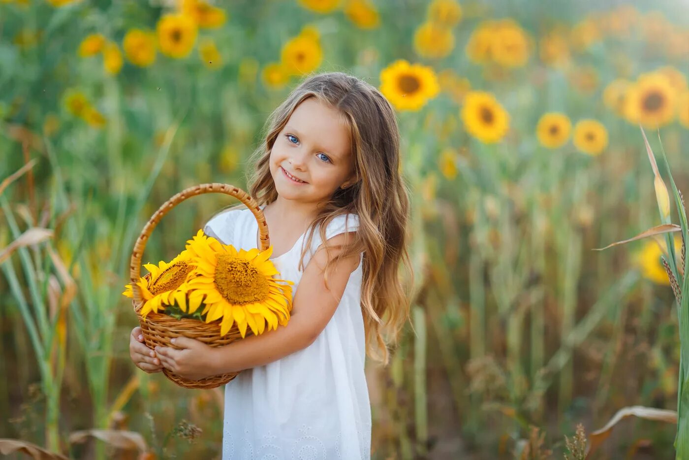 Детская солнечный. Девочка в поле подсолнухов. Девочка с подсолнухами. Подсолнух для детей. Фотосессия в подсолнухах.