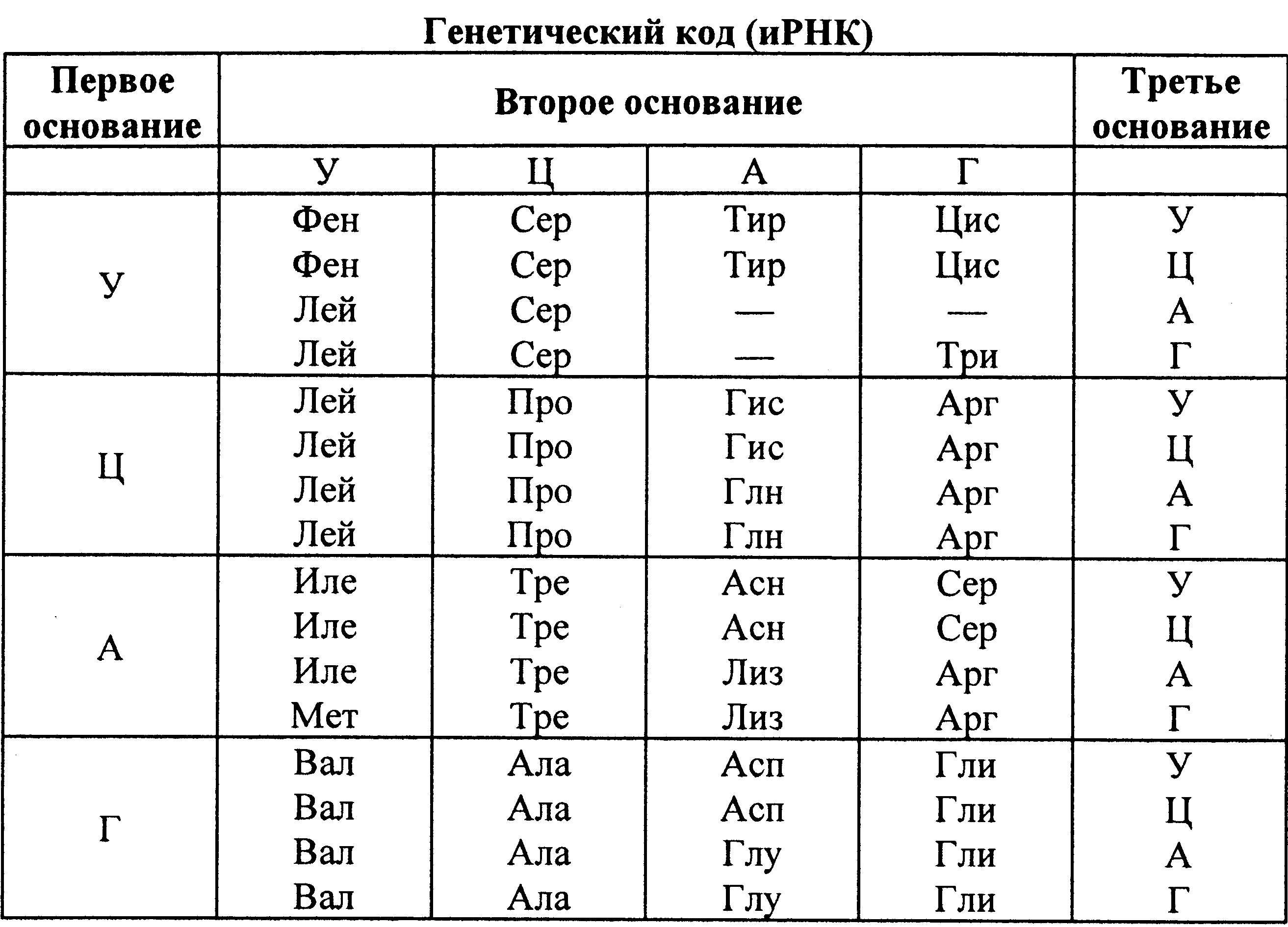 Таблица генетического кода генетический код (ИРНК). Генетический код таблица ЕГЭ биология. Аминокислоты ДНК И РНК таблица. Таблица генетических кодов аминокислот.