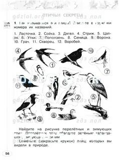 Ответы по окружающему миру 2 класс плешаков