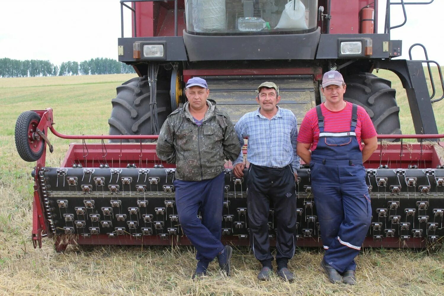 Оао нива. Ооо нива саранск. Организация нива вакансии. Оао нива. Оао нива.