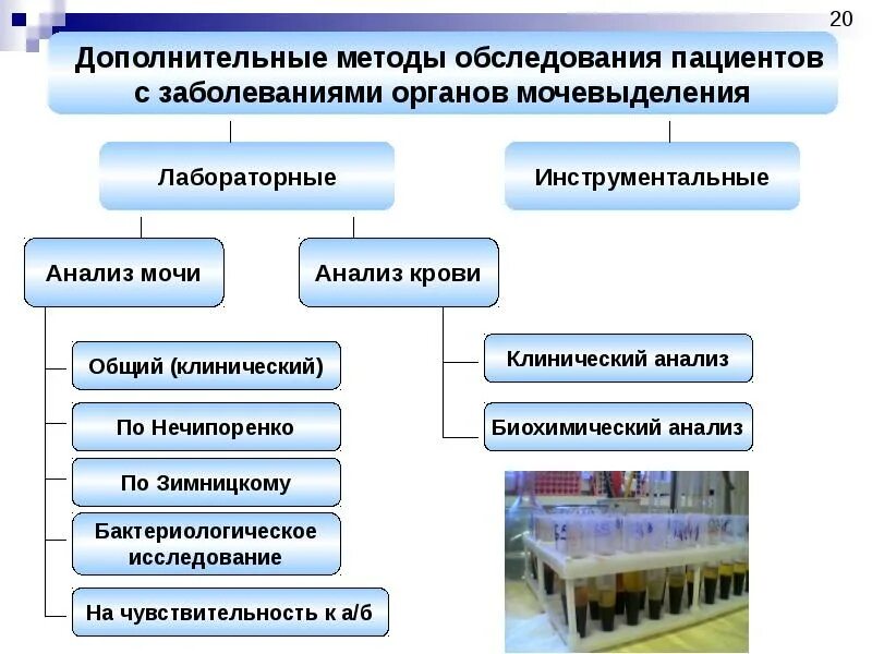 Дополнительные методы исследования органов. Методы исследования при заболеваниях мочевыделительной системы. методы исследования при заболеваниях органов мочевыделения. методы исследования пациентов с заболеваниями органов мочеотделения. дополнительные методы исследования больных.