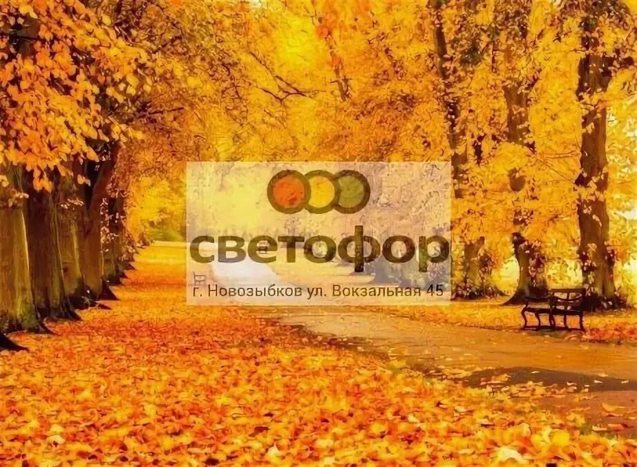 Светофор вокзальной новозыбков. Светофор Новозыбков.