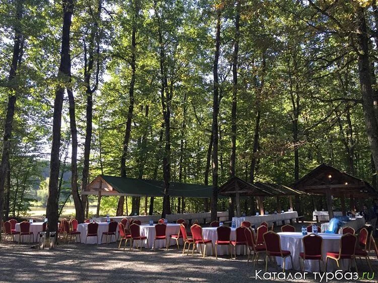 Рождественские пруды калуга. Лесная озеро калужская. Деревня озеро калужская область. Озеро бездон калужская область. Рождественские пруды калуга.
