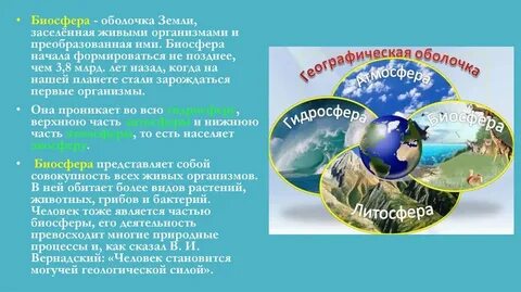 Заселена живыми организмами