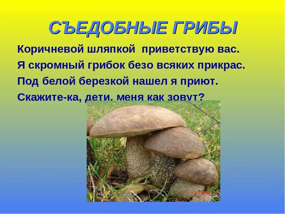 Что такое грибница 3 класс окружающий