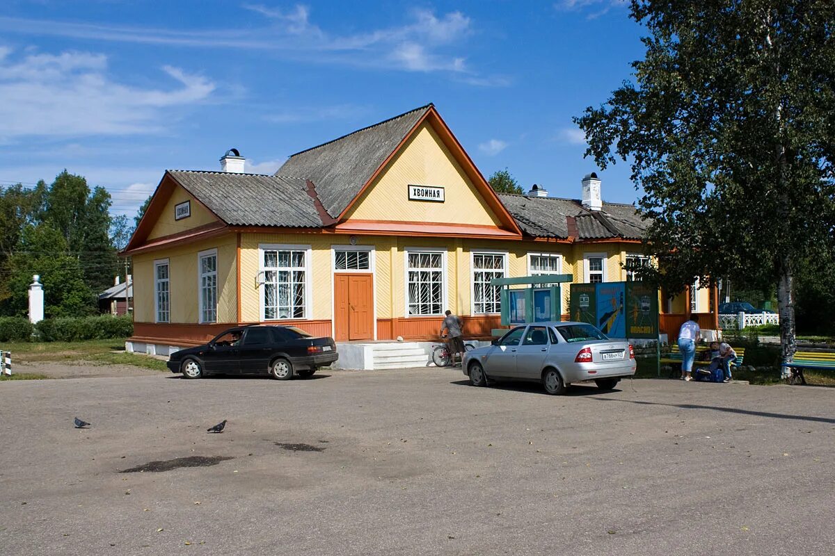 Хвойная население. Посёлок хвойная новгородская область. Хвойная население. Хвойная население. Поселок хвойный.