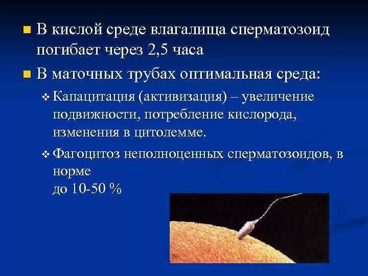 Сперматозоиды в кислой среде. Для оплодотворения необходима капельно жидкая среда. Для оплодотворения необходима капельно жидкая среда. Условия оплодотворения. Для оплодотворения необходима капельно жидкая среда.