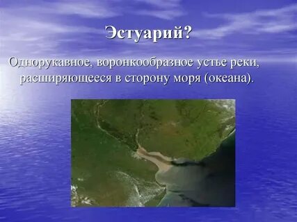 Устье реки в форме воронки