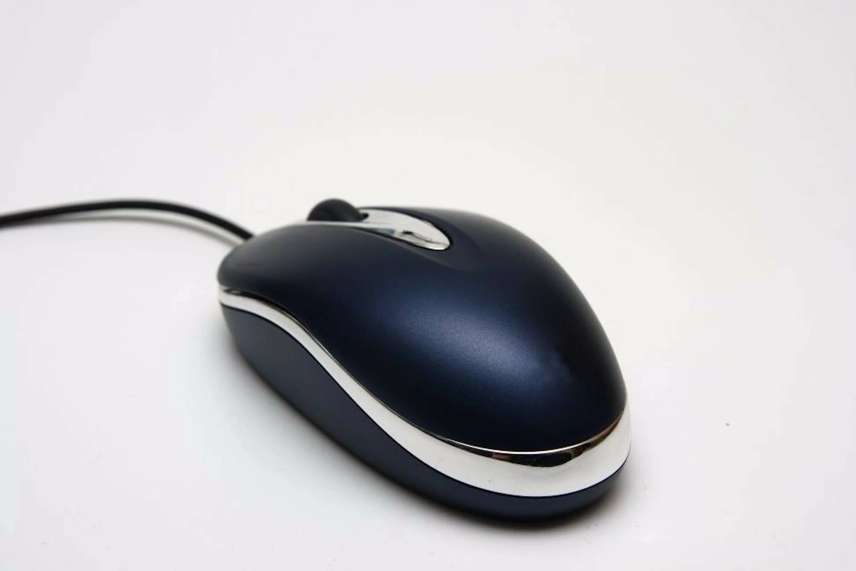 Sibm mouse