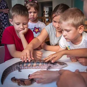 Клуб натуралистов