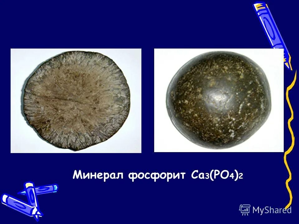 Фосфорит 2. Фосфорит минерал. Фосфорит 2. Конкреционные фосфориты. Еврохим фосфорит кингисепп.
