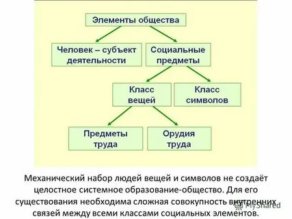 Общее социальное положение это