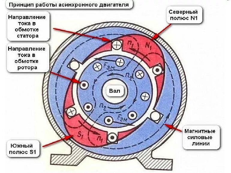 Принцип действия трехфазного асинхронного двигателя. Принцип действия трёхфазного асинхронного электродвигателя. Принцип действия асинхронного двигателя с короткозамкнутым ротором. Принцип работы асинхронного двигателя. Сколько полюсов в двигателе