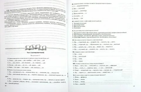 Рабочая тетрадь 5 класс разумовская