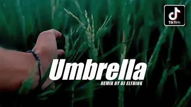 Dj umbrella. Dj umbrella. Dj umbrella. Анализатор мастеринг озон. Dj umbrella.