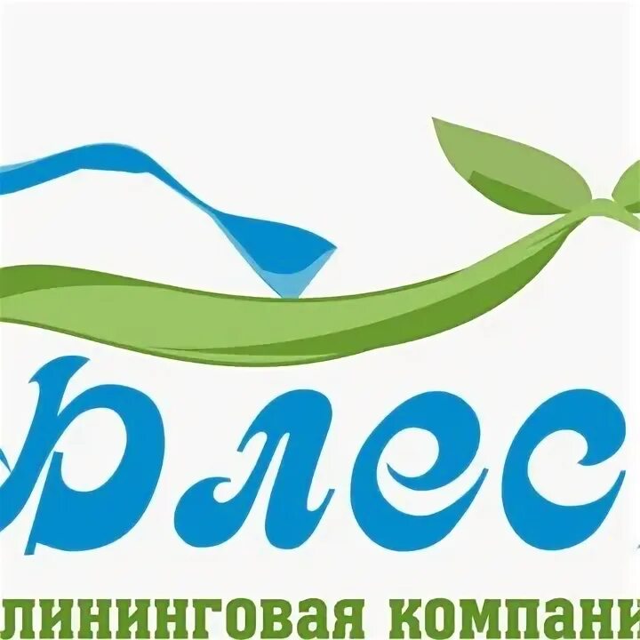 Клининговая компания блеск