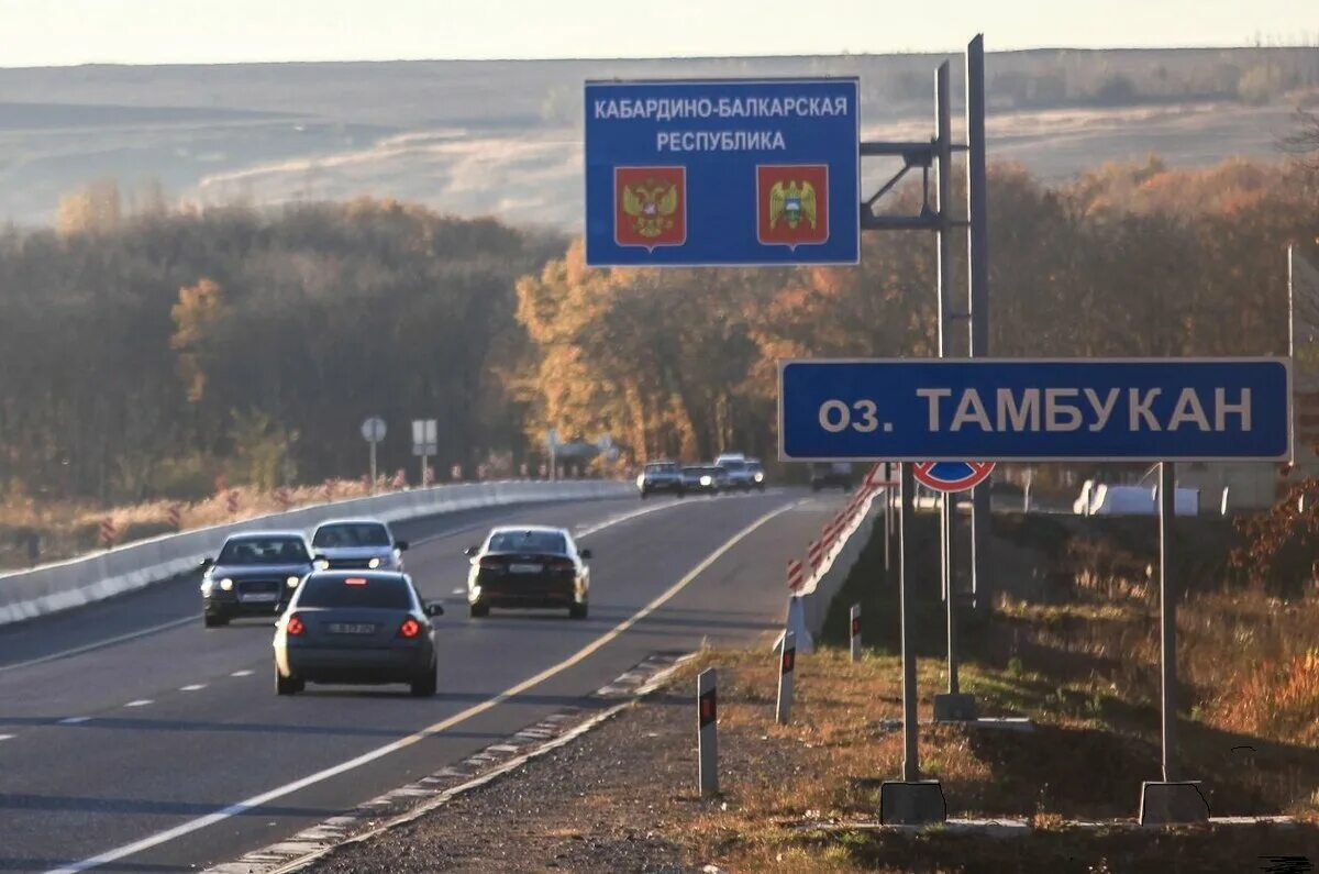 Прогноз кбр