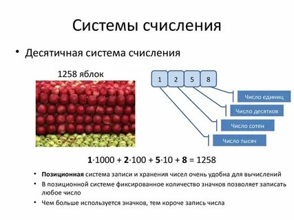 Общие сведения о системах счисления босова