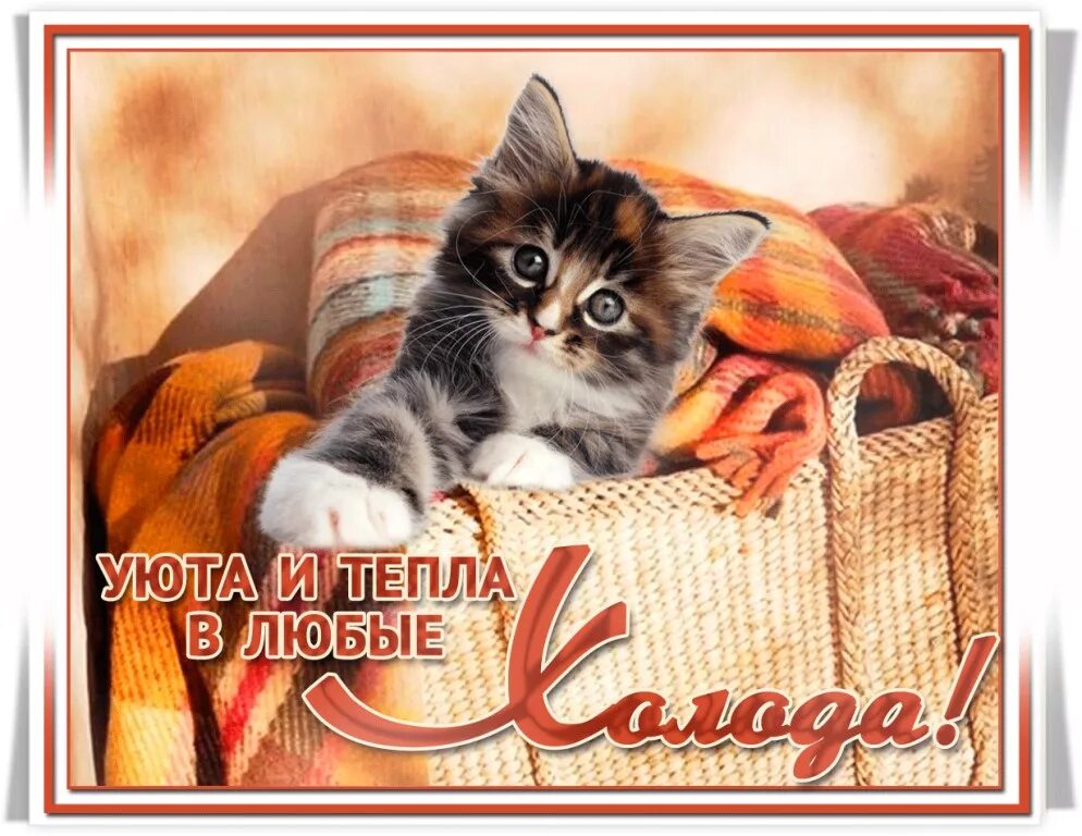 дарите детям тепло. уюта и тепла в любые холода. радиатор алюминиевый sira rovall. св тепло. зимние авы.