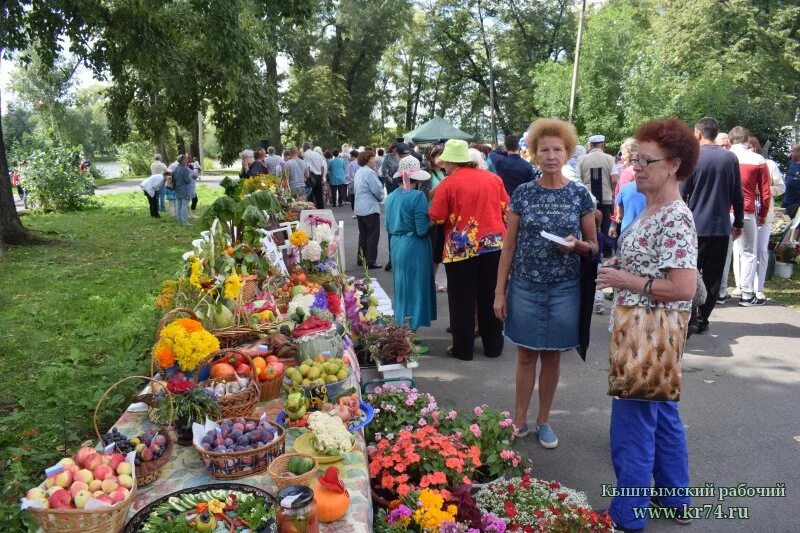фермеры и садоводы кыштыма. фермеры садоводы самары. Vegetable work. потеря урожая. Vegetables шоу.