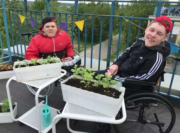 Осужденные инвалиды. Сажают ли инвалидам. Благоустройство территории детского дома интерната. Сажают ли инвалидам. Сажают ли инвалидам.