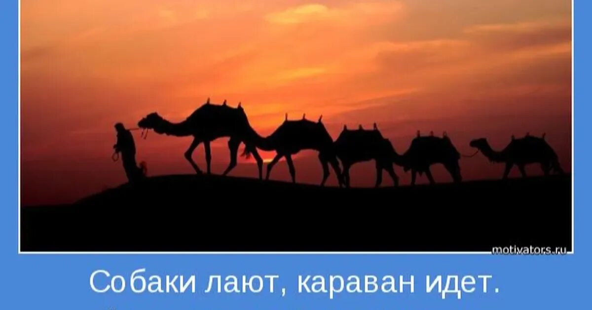 Караван что означает. Собала лает Караван идёт. Собака лакт корован идет. Собаки лают Караван. Сабака лакт Караван илет.