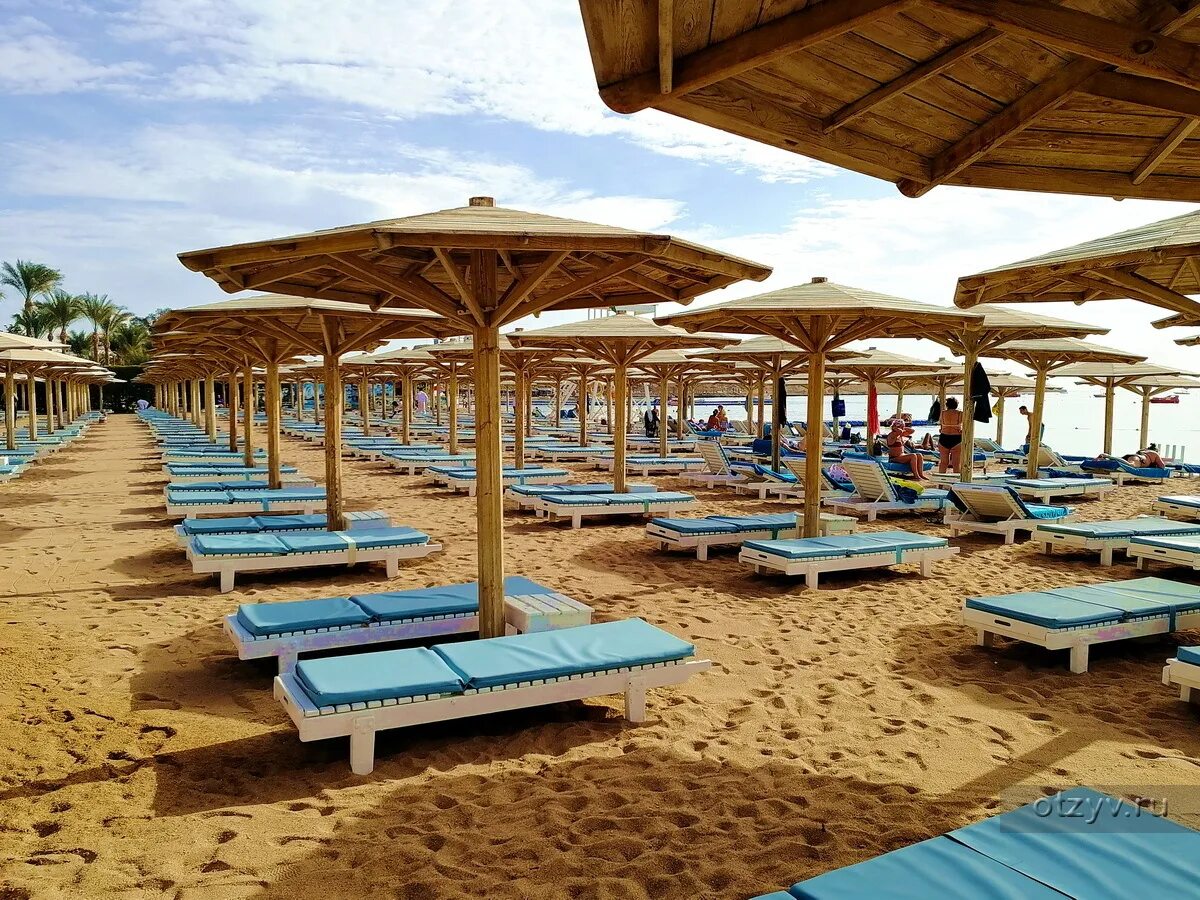 Египет novotel palm 5* шарм-эль-шейх / наама бей. Novotel египет шарм-эль-шейх. Novotel beach египет шарм-эль-шейх. Новотель бич шарм-эль-шейх. Novotel beach 5.