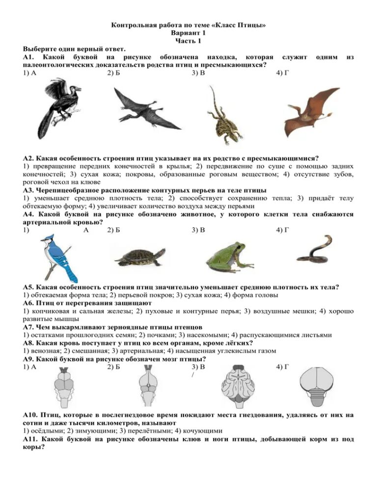 Контрольная по биологии по птицам 7