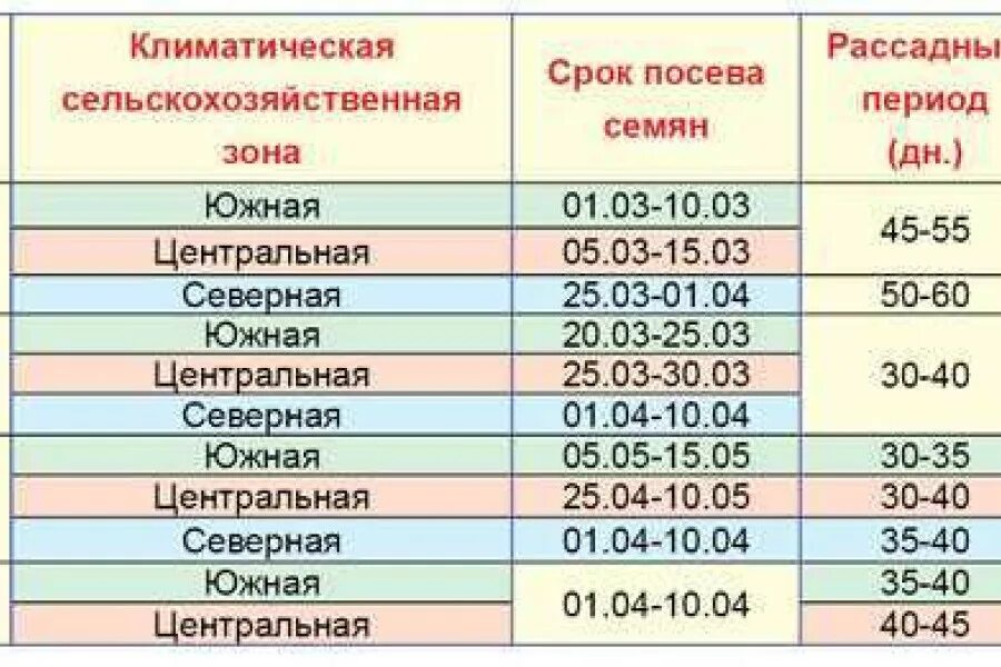 При какой температуре сажать капусту. Сроки высадки в грунт рассады поздней капусты. Сроки посева капусты на рассаду. Посев ранней капусты на рассаду сроки. Когда садить капусту на рассаду.