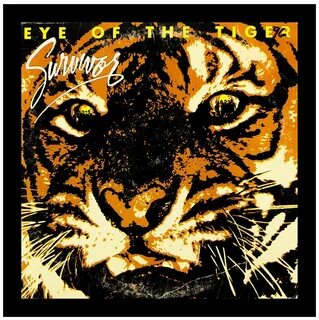 Eye of the tiger