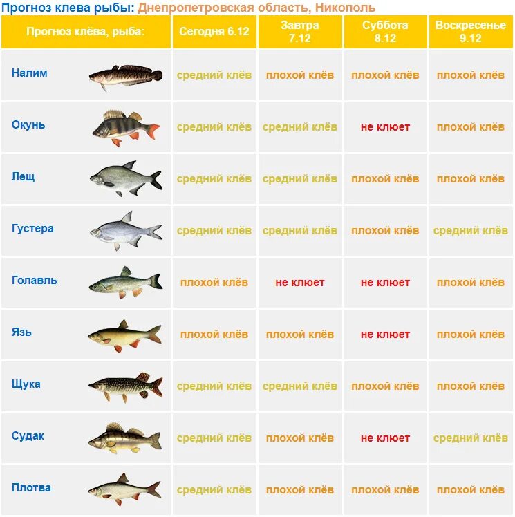 Прогноз клева на кубани. Прогноз клева. Клев рыбы. Прогноз клева щуки. Календарь клева рыбы.