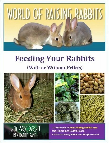 Now timothy to feed his. A rabbit to feed. what do we known about rabbit.
