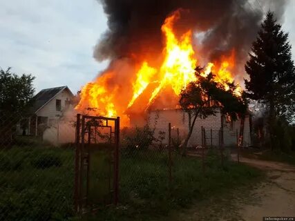 Павы псковская область