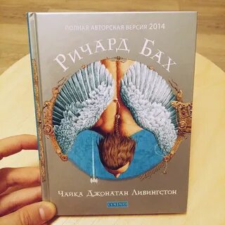 Чайка по имени джонатан ливингстон какой стиль