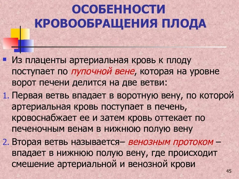 Характеристика капиллярного кровообращения. Легочное кровообращение физиология. Особенности кровоснабжения головного мозга. Характеристика кровотока. Особенности кровообращения головного мозга.