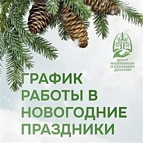 График работы январь 2025 года. График работы январь 2025 года