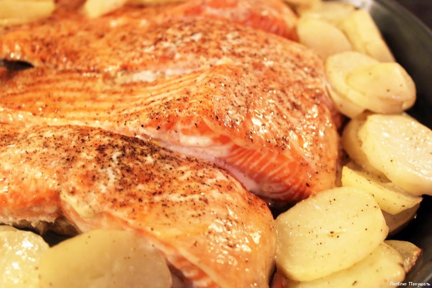 Как приготовить красную рыбу вкусно и сочно