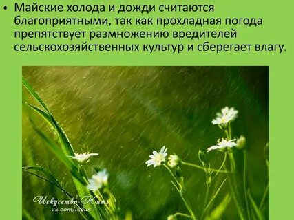 Май холодов