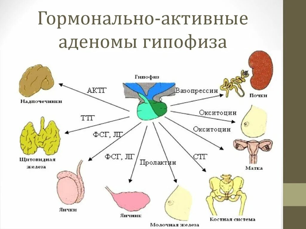 Гормонально активной аденоме